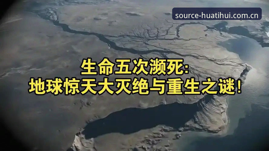 华体会tiyu官方赛事数据 3次倒地、2次重生:埃里克森心脏事件背后的硬核医学真相